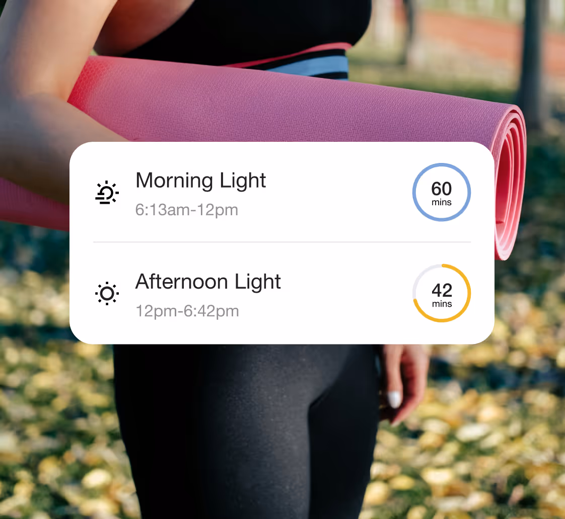 Morning and afternoon light intake card