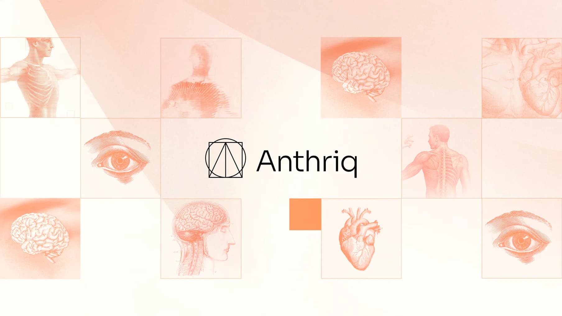 Anthriq brand identity