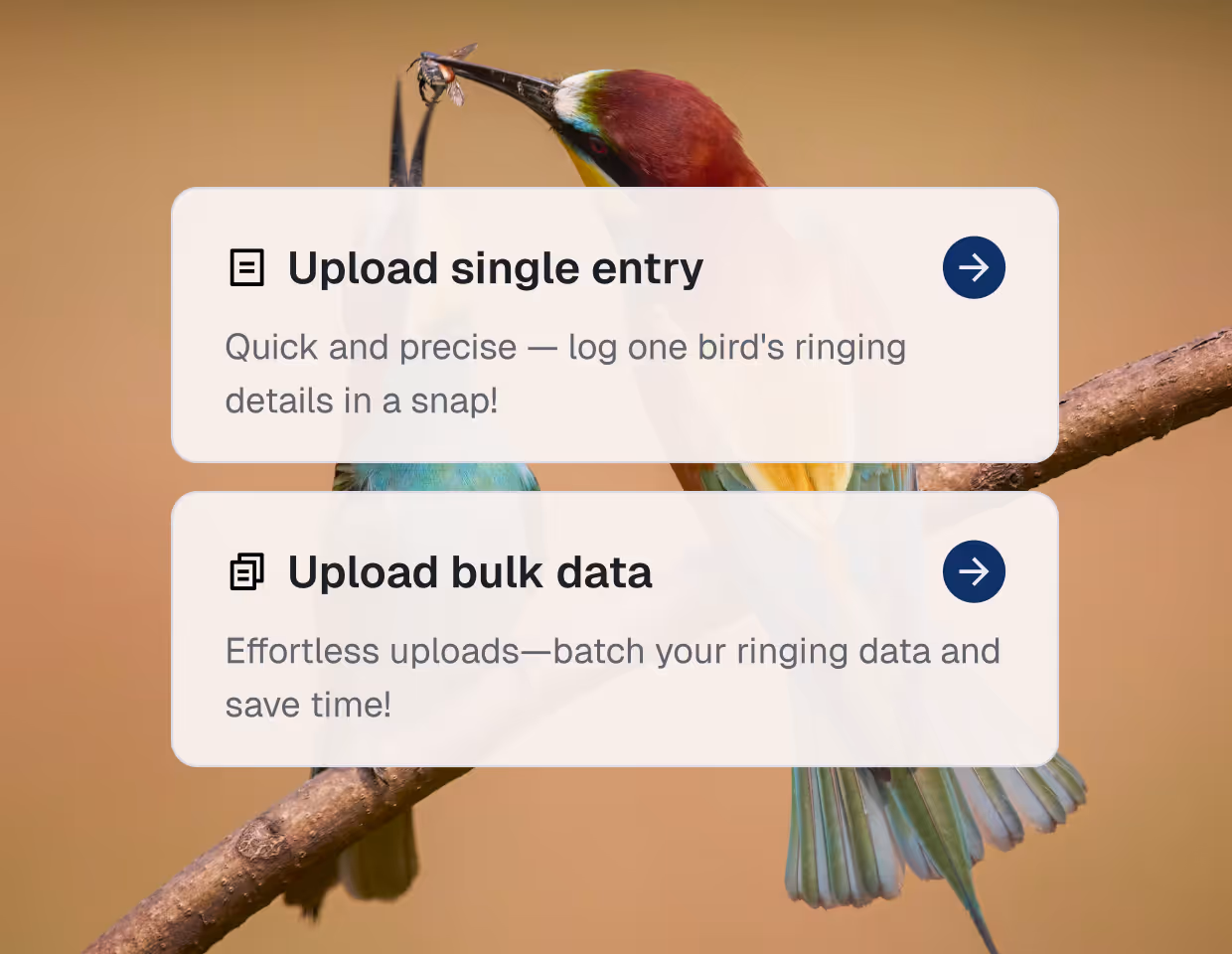 Upload options: single ringing entry or bulk data