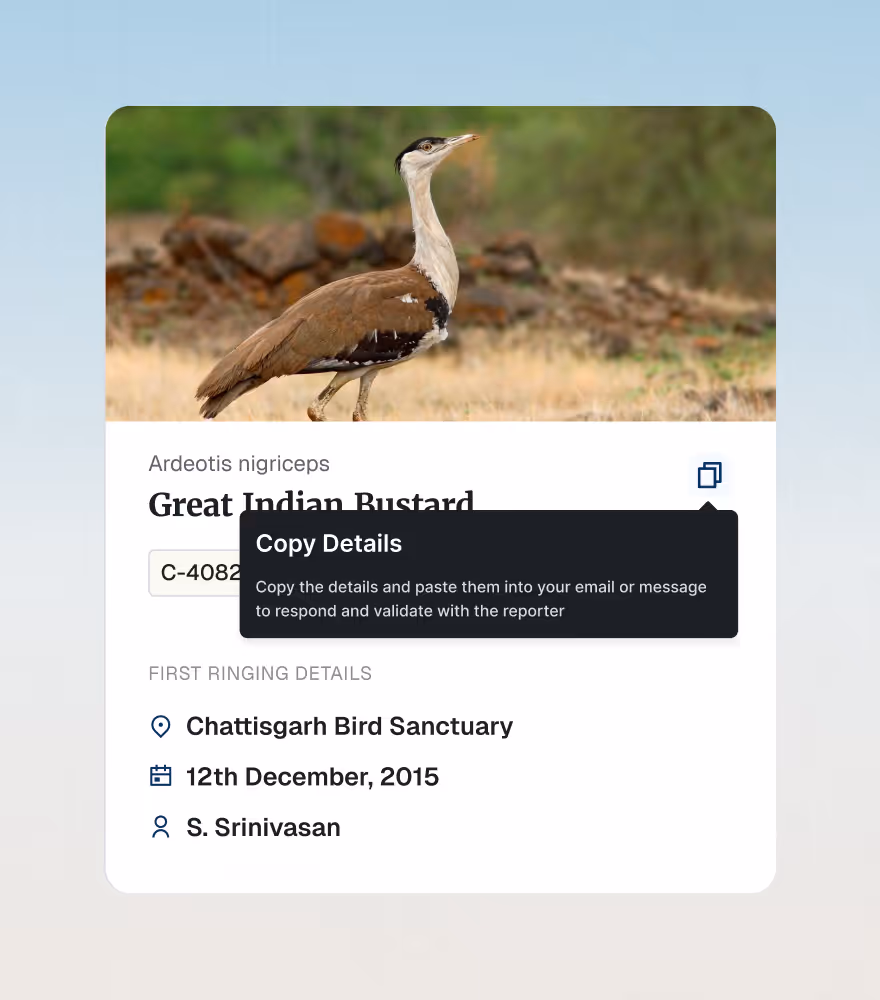Resighting record for a Great Indian Bustard with a copy-details tooltip