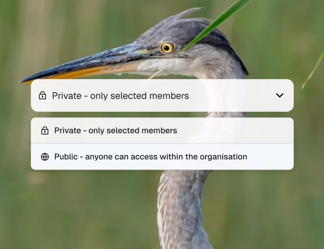 Project visibility setting: private to selected members or public within the organisation