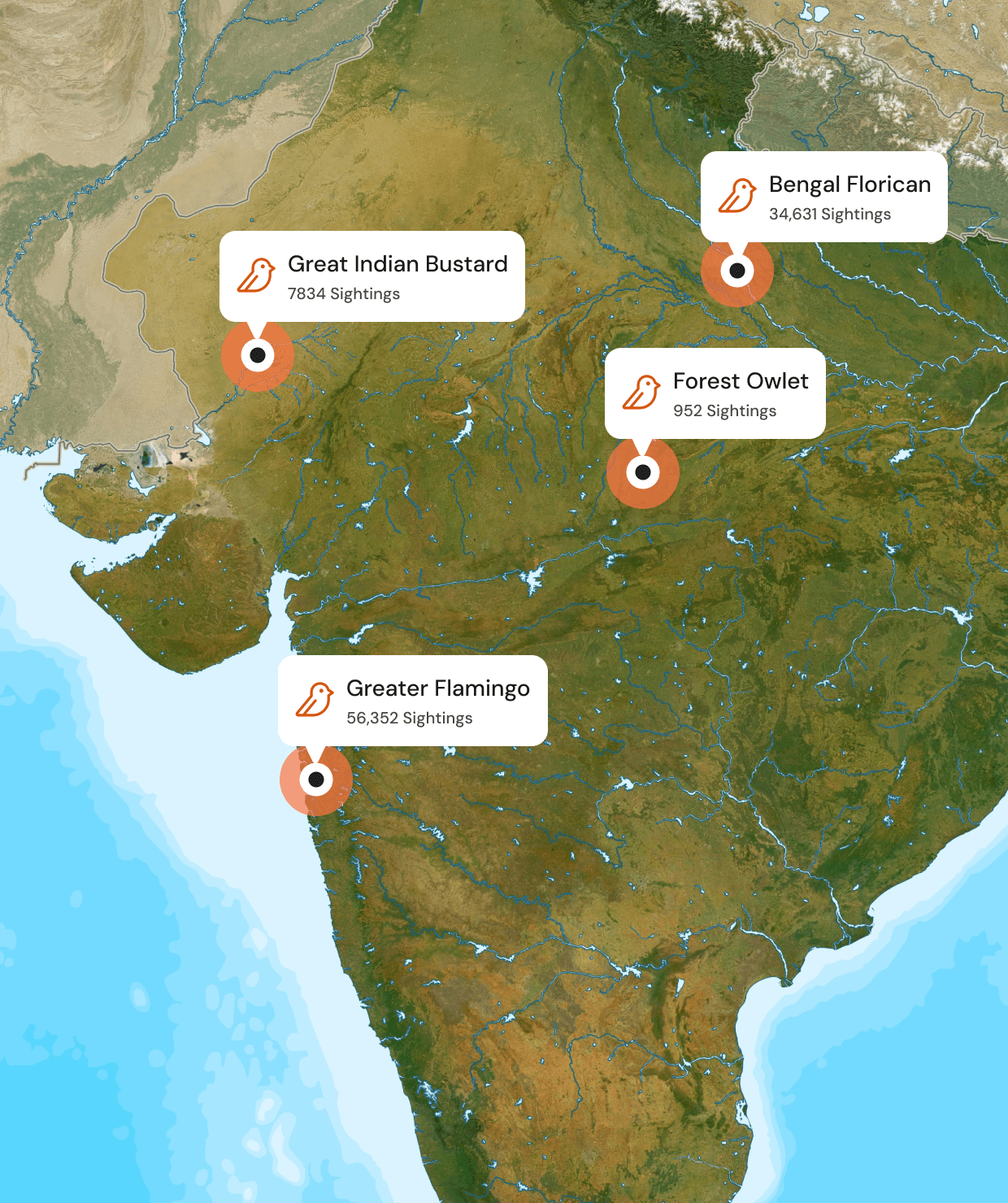 Map of India with species sighting counts: Great Indian Bustard, Bengal Florican, Forest Owlet, Greater Flamingo