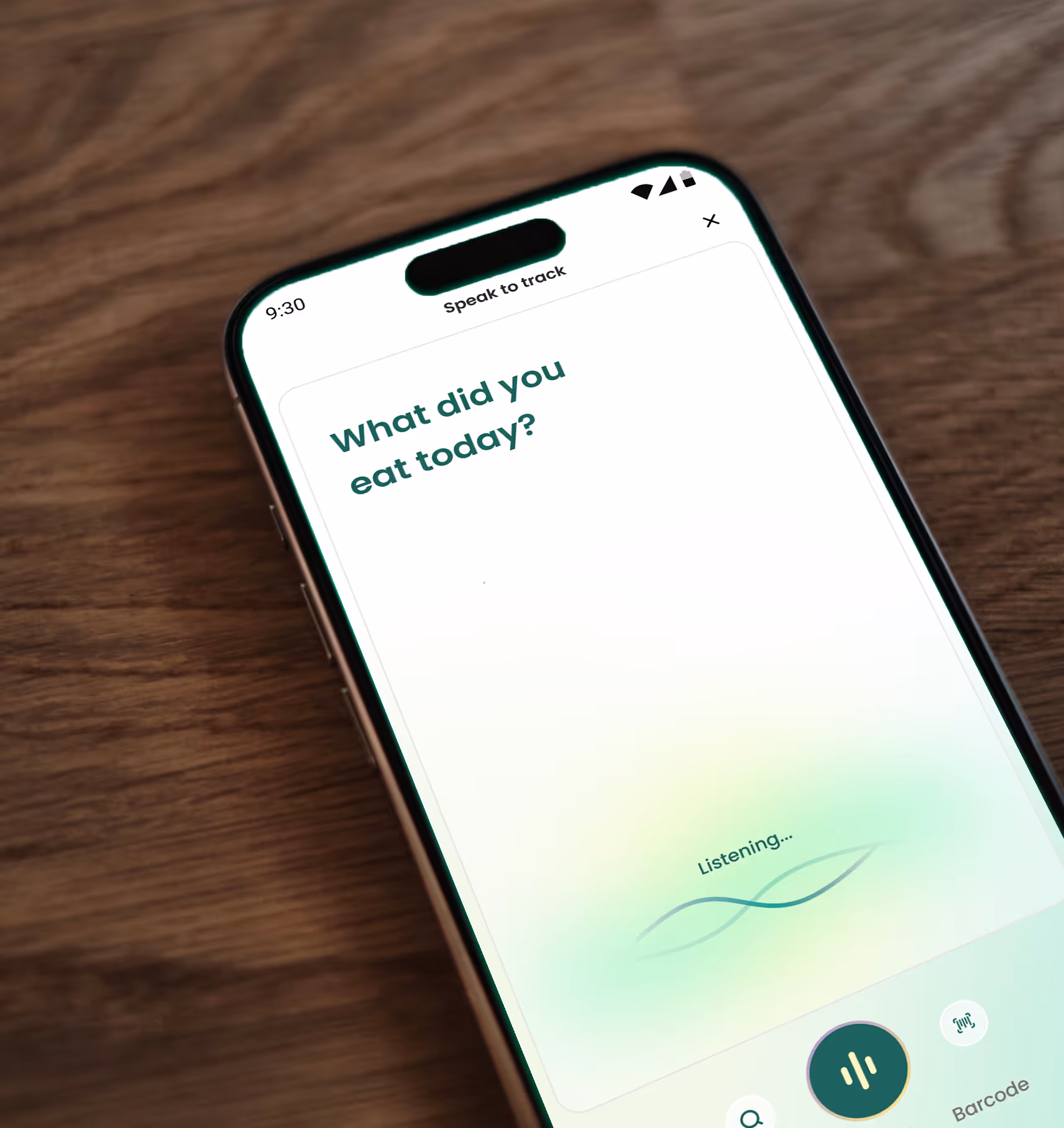 Voice logging screen: What did you eat today?