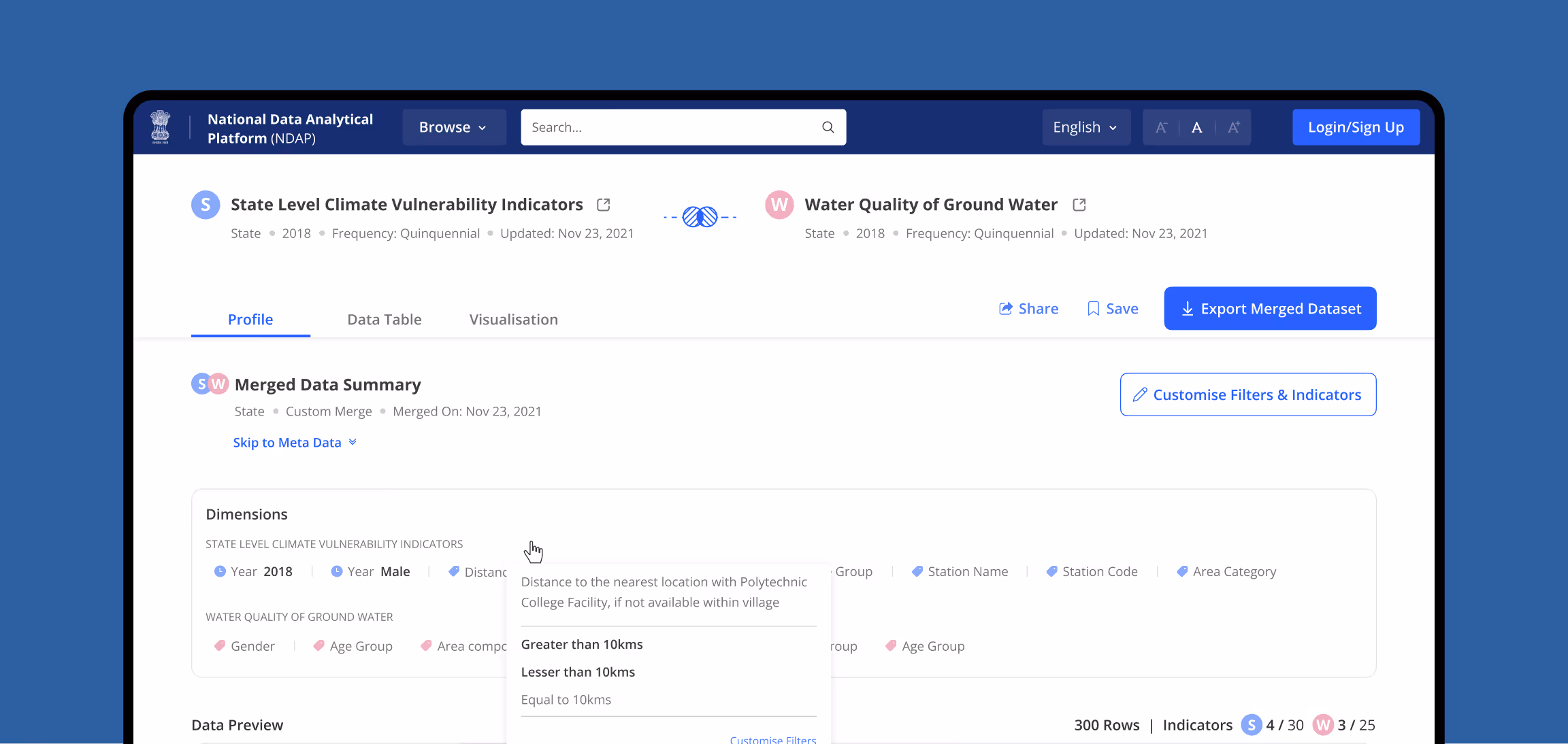 Merged dataset summary screen